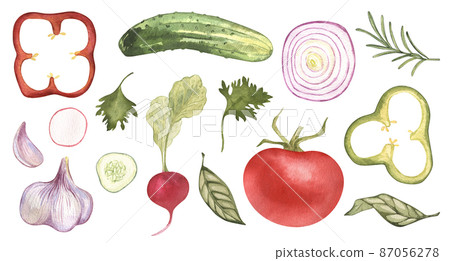 Eco food set menu background. Watercolor hand drawn vegetables, garlic, cucumber, salad, tomato, pepper, organic, avocado, leaves, onion. Isolated elements. For restaurant, kitchen, textile, fabric. Eco food set menu background. Watercolor hand drawn vegetables, garlic, cucumber, salad, tomato, pepper, organic, avocado, leaves, onion. Isolated elements. For restaurant, kitchen, textile, fabric. 87056278