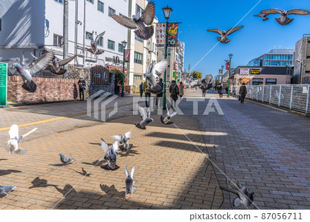 Yamato City, Japan Cityscape: Overlooking the pigeons gathering in front of Odakyu Yamato Station (flying in front of you even though you haven't sprinkled food) 87056711
