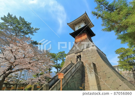 [Kagawa Prefecture] The highest lantern in Japan where cherry blossoms bloom 87056860