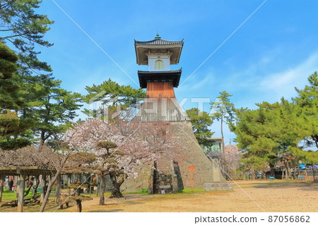 [Kagawa Prefecture] The highest lantern in Japan where cherry blossoms bloom 87056862