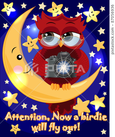 A red sweet owl wearing spectacles and with a camera sits on the moon and the stars. Photo business, photographer, vocation, profession 87056936