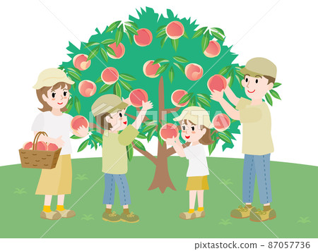 家庭狩獵桃子 87057736