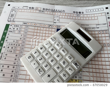 納稅申報表 B 和計算器 納稅申報表 B 和計算器 87058029
