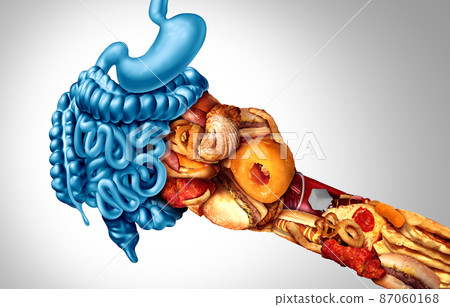 Effects Of Fast Food 87060168