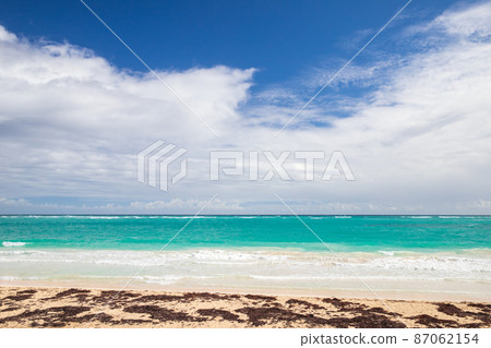 Empty sandy beach with algae and shore waves 87062154