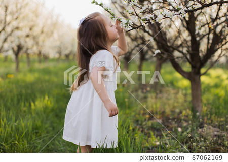 Pretty female kid smelling spring blossom of apple tree 87062169