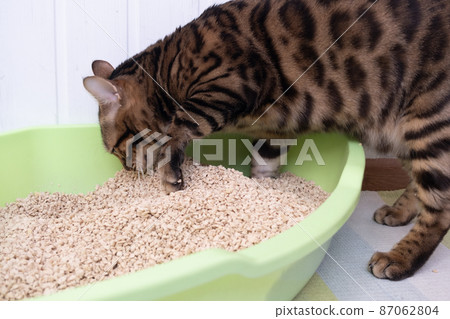 aquapurr cat water fountain PawsPik SS-01 Stainless Steel Cat Fountain, 108.2-oz