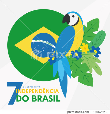 Brazil independence day poster cute parrot on leaves Vector Brazil independence day poster cute parrot on leaves Vector 87062949