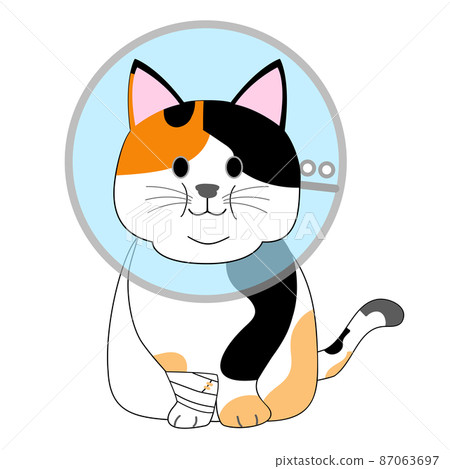 一隻帶著伊麗莎白時代項圈的肥貓,一隻印花布貓 一隻帶著伊麗莎白時代項圈的肥貓,一隻印花布貓 87063697