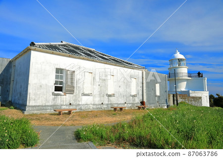 [Wakayama Prefecture] Kashinozaki Lighthouse and Narcissus under sunny weather (Kii Oshima) 87063786