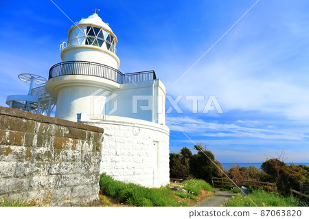 [Wakayama Prefecture] Kashinozaki Lighthouse and Narcissus under sunny weather (Kii Oshima) 87063820