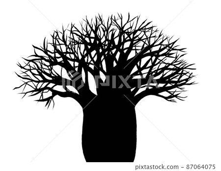 Baobab tree silhouette illustration 87064075