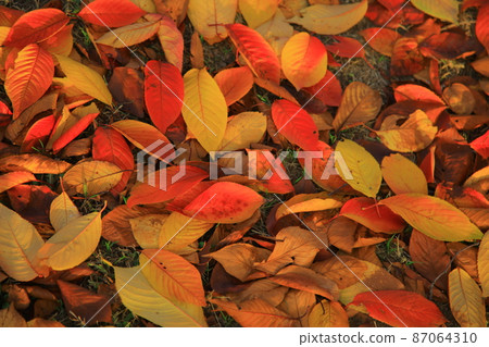 2012秋季漢江河畔 87064310