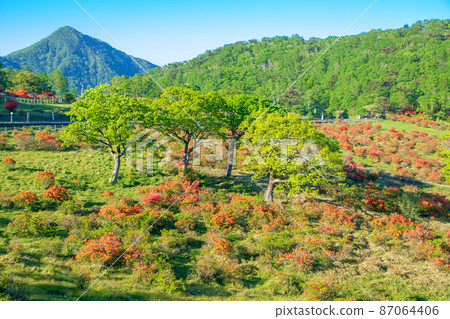 Akagiyama Shirakaba Ranch Rest House View from the terrace Early summer early morning scenery 87064406
