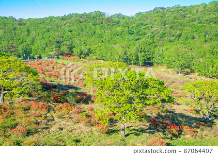 Akagiyama Shirakaba Ranch Rest House View from the terrace Early summer early morning scenery 87064407
