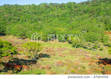 Akagiyama Shirakaba Ranch Rest House View from the terrace Early summer early morning scenery 87064408