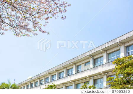 櫻花和學校建設 87065250