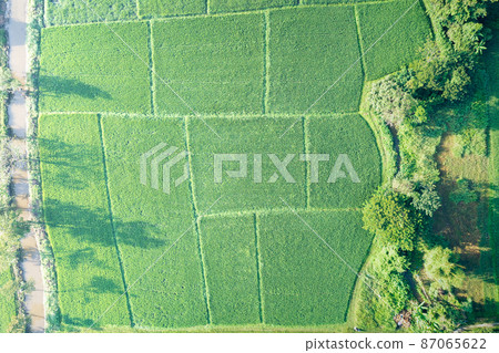 Land or landscape of green field in aerial view. Land or landscape of green field in aerial view. 87065622