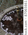 Sakura at the drinking fountain 87065661
