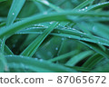 Leaf droplet 87065672