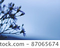 Rainy day flowers 87065674
