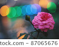 Pink roses and colorful ball bokeh 87065676