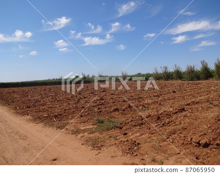 Red clay australia Red clay australia 87065950