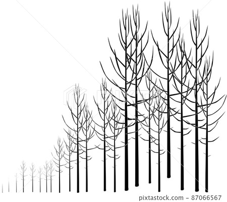 Image of overgrown forest "Silhouette" 87066567