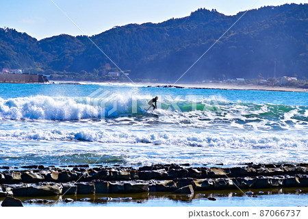 Qingdao Miyazaki Qingdao Miyazaki 87066737