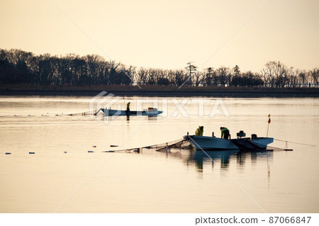 漁夫的早晨 87066847