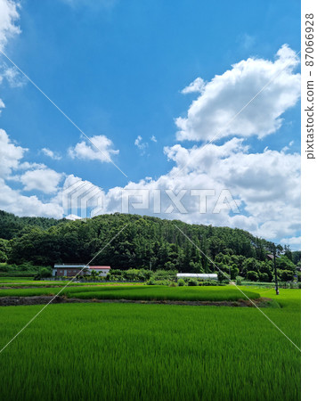 鄉村 鄉村 87066928