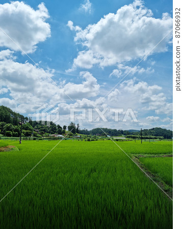 鄉村 鄉村 87066932