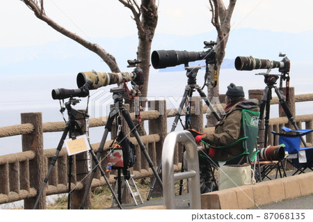 People shooting falcons at Kyogamisaki, Tango Peninsula, Kyoto Prefecture 87068135