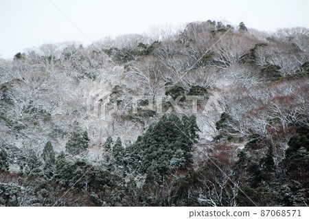 白雪皚皚的山林 白雪皚皚的山林 87068571