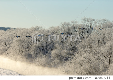 Lied ice and cranes Lied ice and cranes 87069711