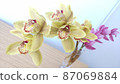 Flowers decorated in a bright room 87069884