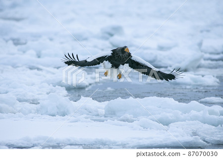 Eagle 87070030