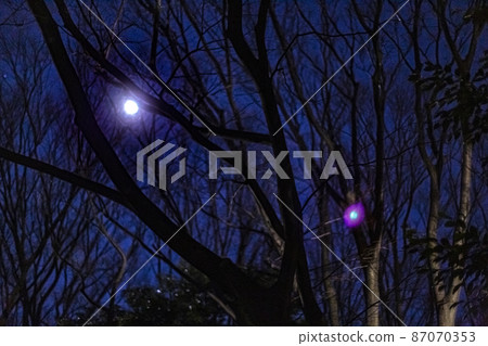 午夜公園，夜景，星空 87070353