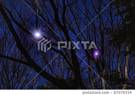午夜公園,夜景,星空 午夜公園,夜景,星空 87070354