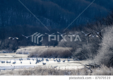 Lied ice and cranes Lied ice and cranes 87070519