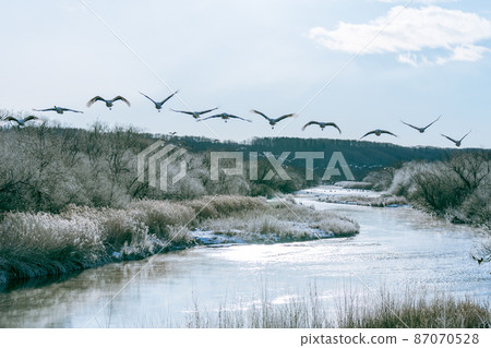 舌頭蝴蝶的藍天飛行 87070528