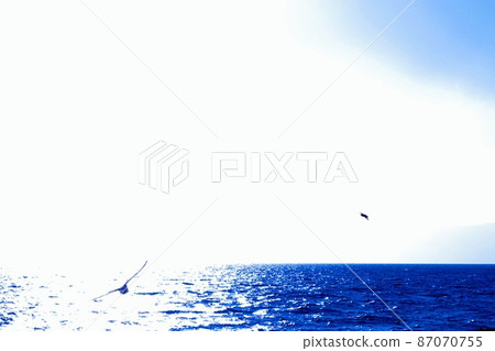 【大磯町】靜謐的漁港，海邊的小鎮 87070755