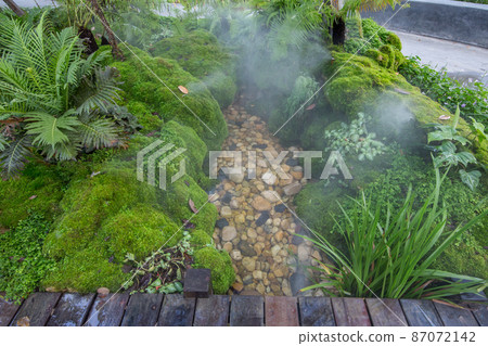 Beautiful view of natural landscape in the home garden Beautiful view of natural landscape in the home garden 87072142