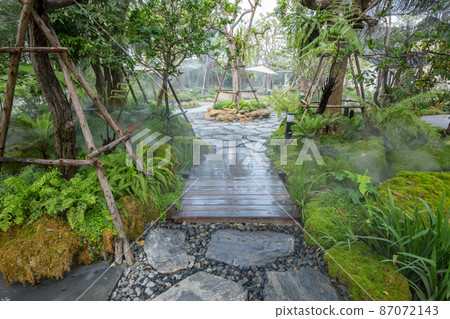 Beautiful view of natural landscape in the home garden 87072143