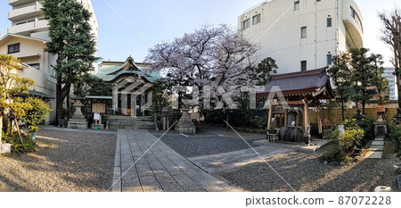 Sakura, Sarue Shrine, Tokyo (March 2021) 87072228
