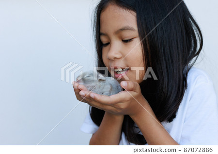Newborn baby holland lop bunny in child hands. Asian girl holding tiny bunny in hand with tenderness and love. People take care a pet. New life of animal concept. Newborn baby holland lop bunny in child hands. Asian girl holding tiny bunny in hand with tenderness and love. People take care a pet. New life of animal concept. 87072886