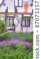 Front garden with blooming saxifrage near of a pink country house wall. Springtime. Lifestyle. 87073257