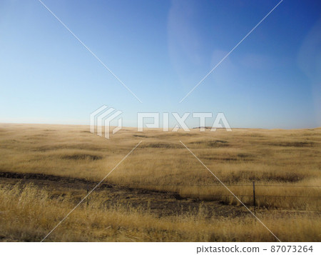 Panorama of a large yellow grassy plain with a blue cloudless sky Panorama of a large yellow grassy plain with a blue cloudless sky 87073264