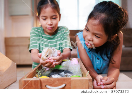 Asian siblings children are playing with baby bunny and decorating easter eggs preparing for Easter at home together with fun. Happy family Happy easter Happy holiday. 87073273