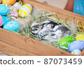 Group of baby Holland lop rabbits in the nest with mommy fur and hay and decorate with Easter eggs. Happy Easter Happy holiday. 87073459